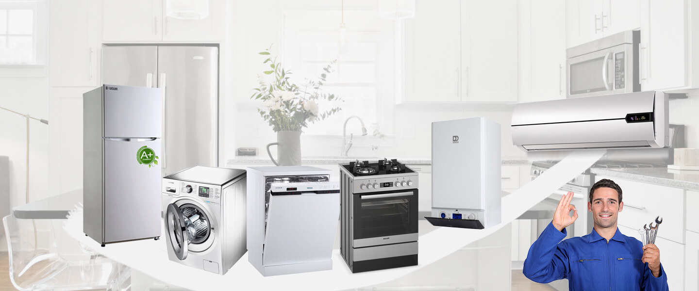 Kartal Dominox Servisi
